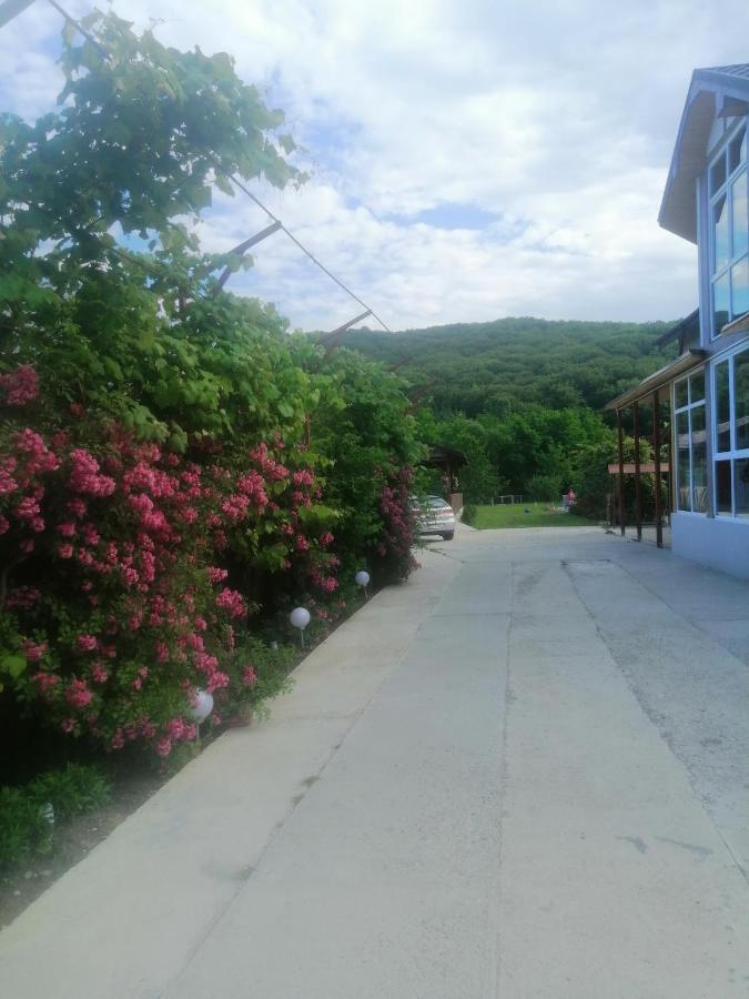 Casa Amaya Bacau Luaran gambar